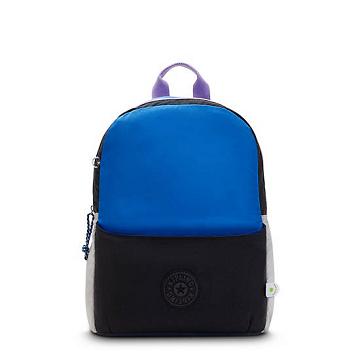 Torby Na Laptopa Kipling Sonnie 15" Backpack Czarne | PL 1549OK